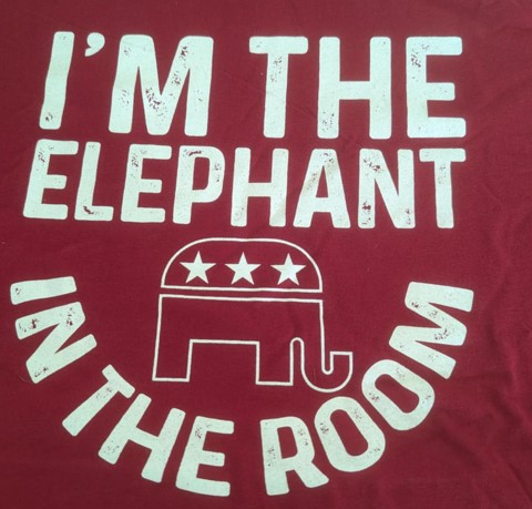 Elephant in the room shirt