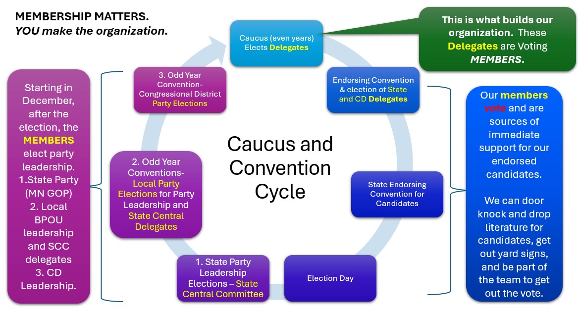 Political Process