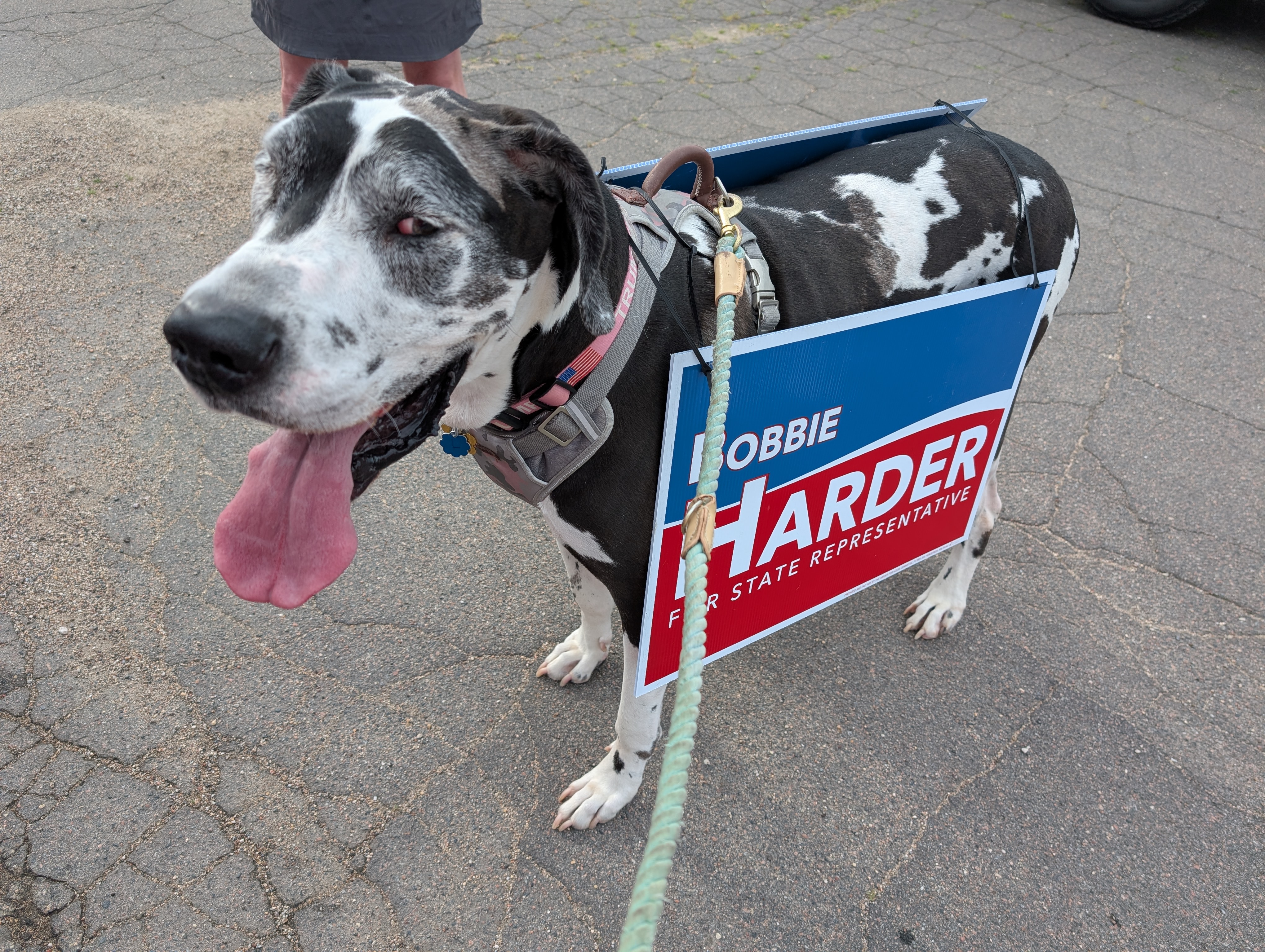 Luna supports Bobbie Harder